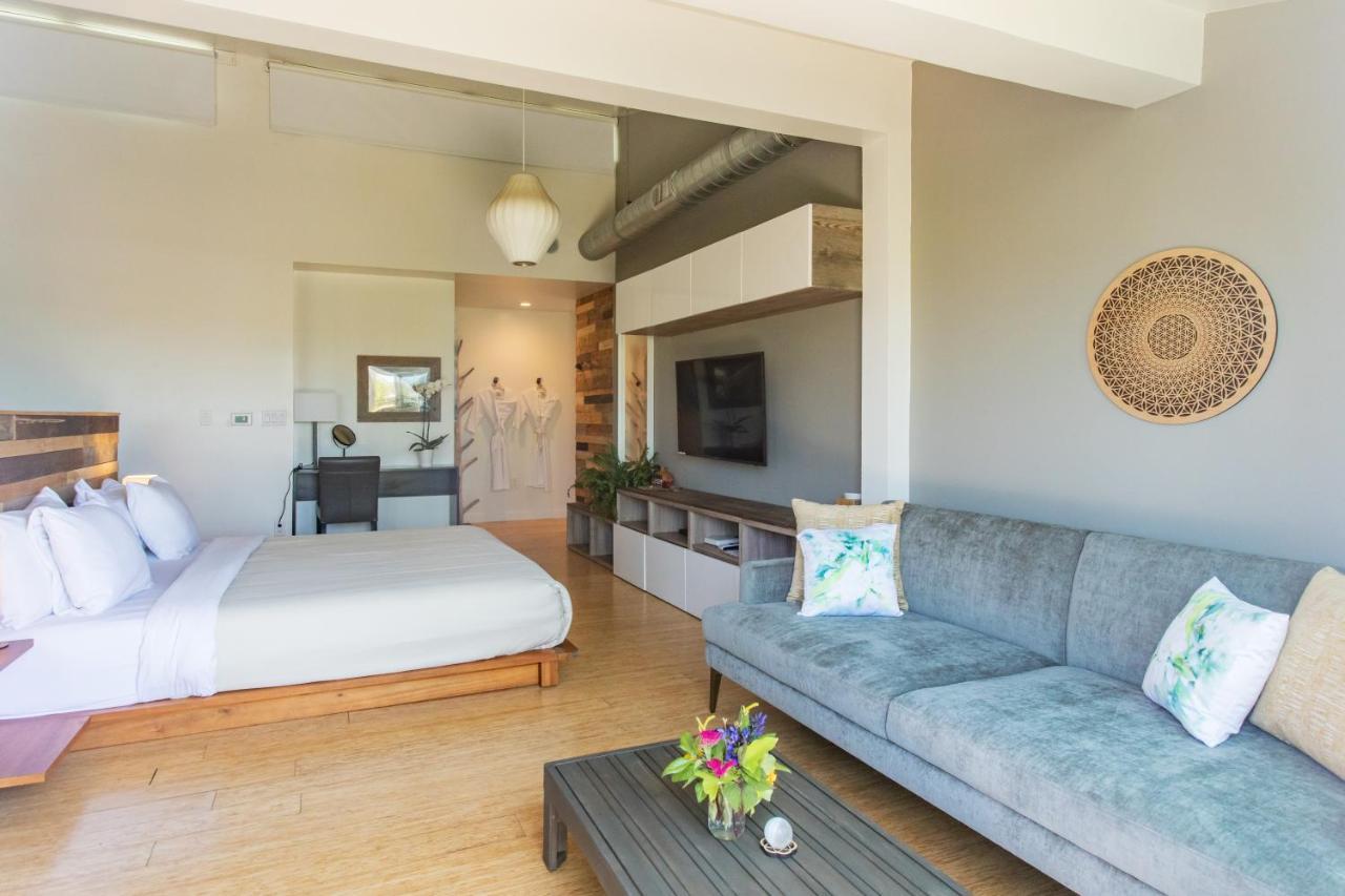 Inn At Moonlight Beach Encinitas Bagian luar foto