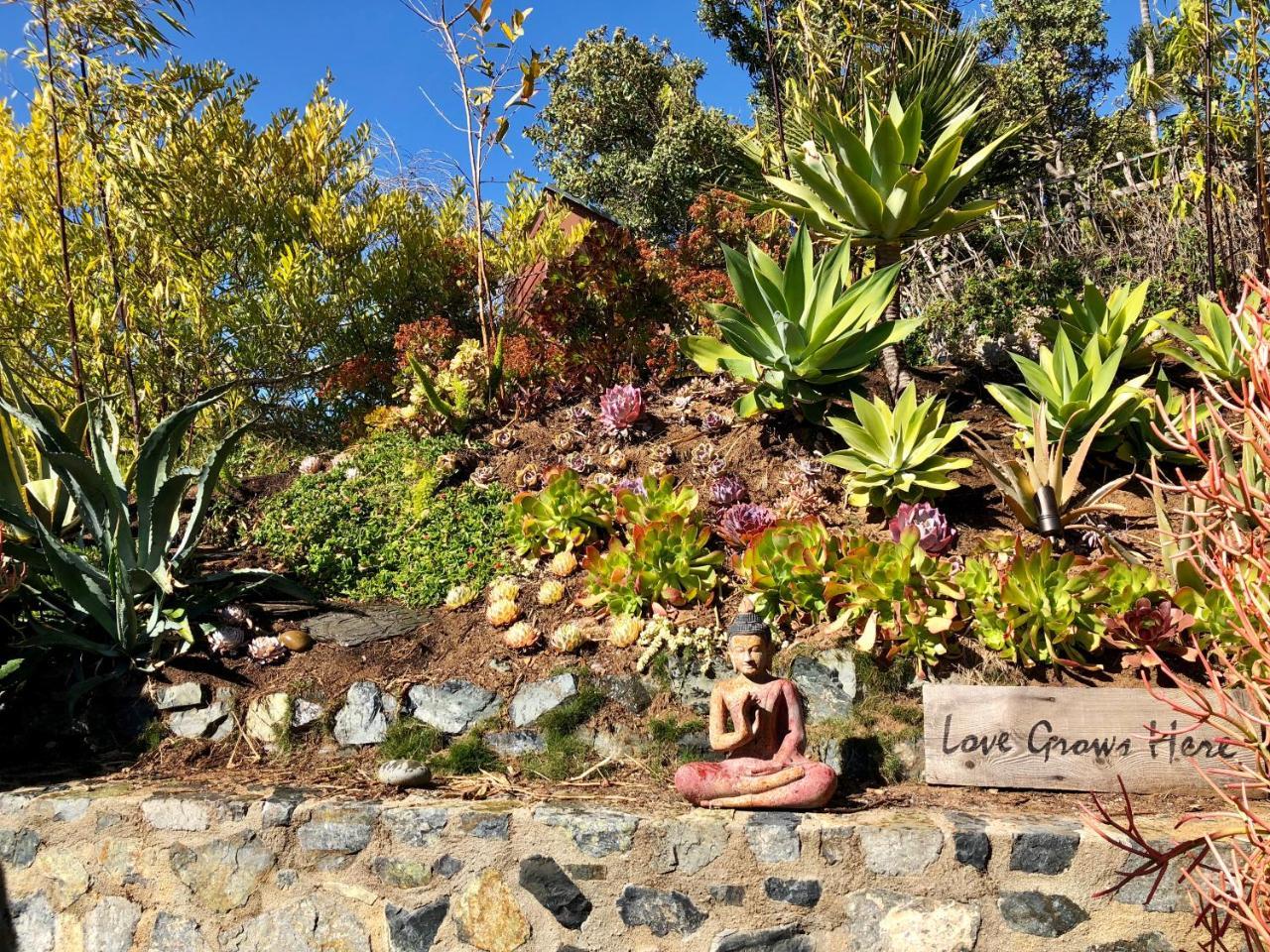 Inn At Moonlight Beach Encinitas Bagian luar foto