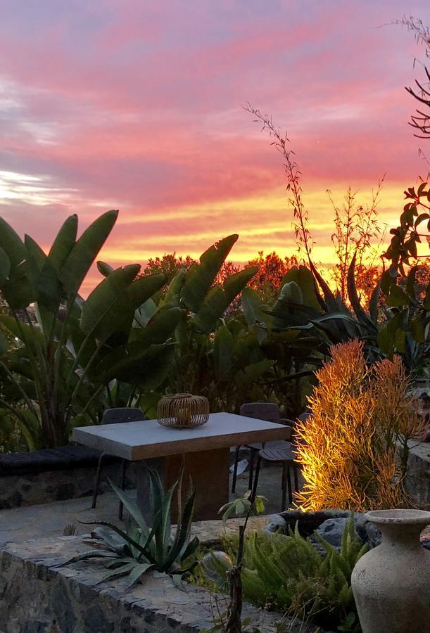 Inn At Moonlight Beach Encinitas Bagian luar foto