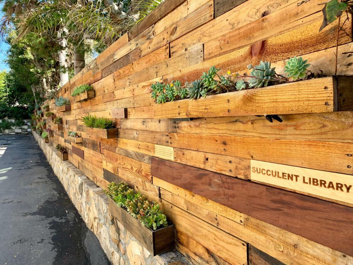 Inn At Moonlight Beach Encinitas Bagian luar foto
